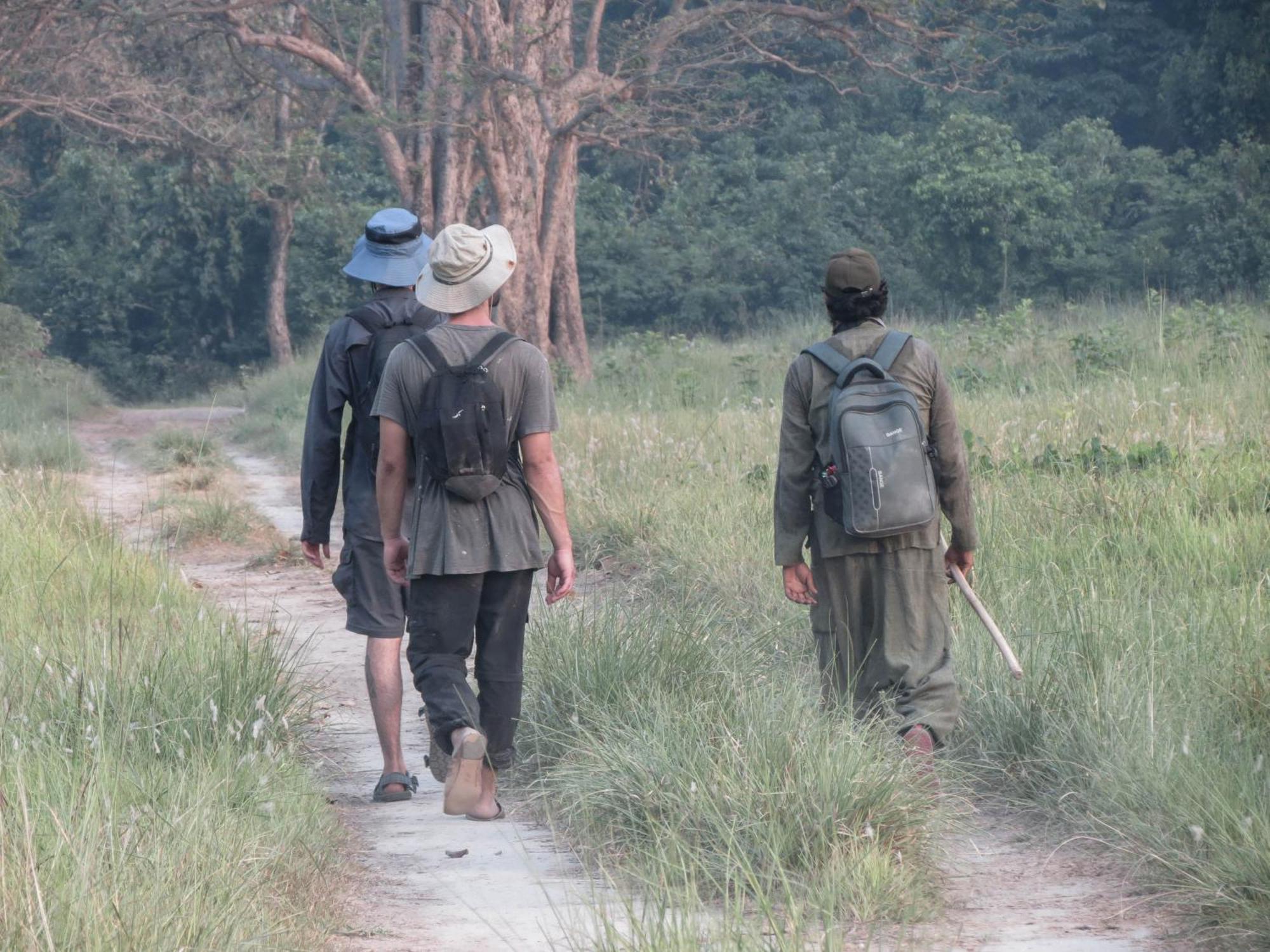 Forest Hideaway Resort Pvt Ltd Bardiya Luaran gambar