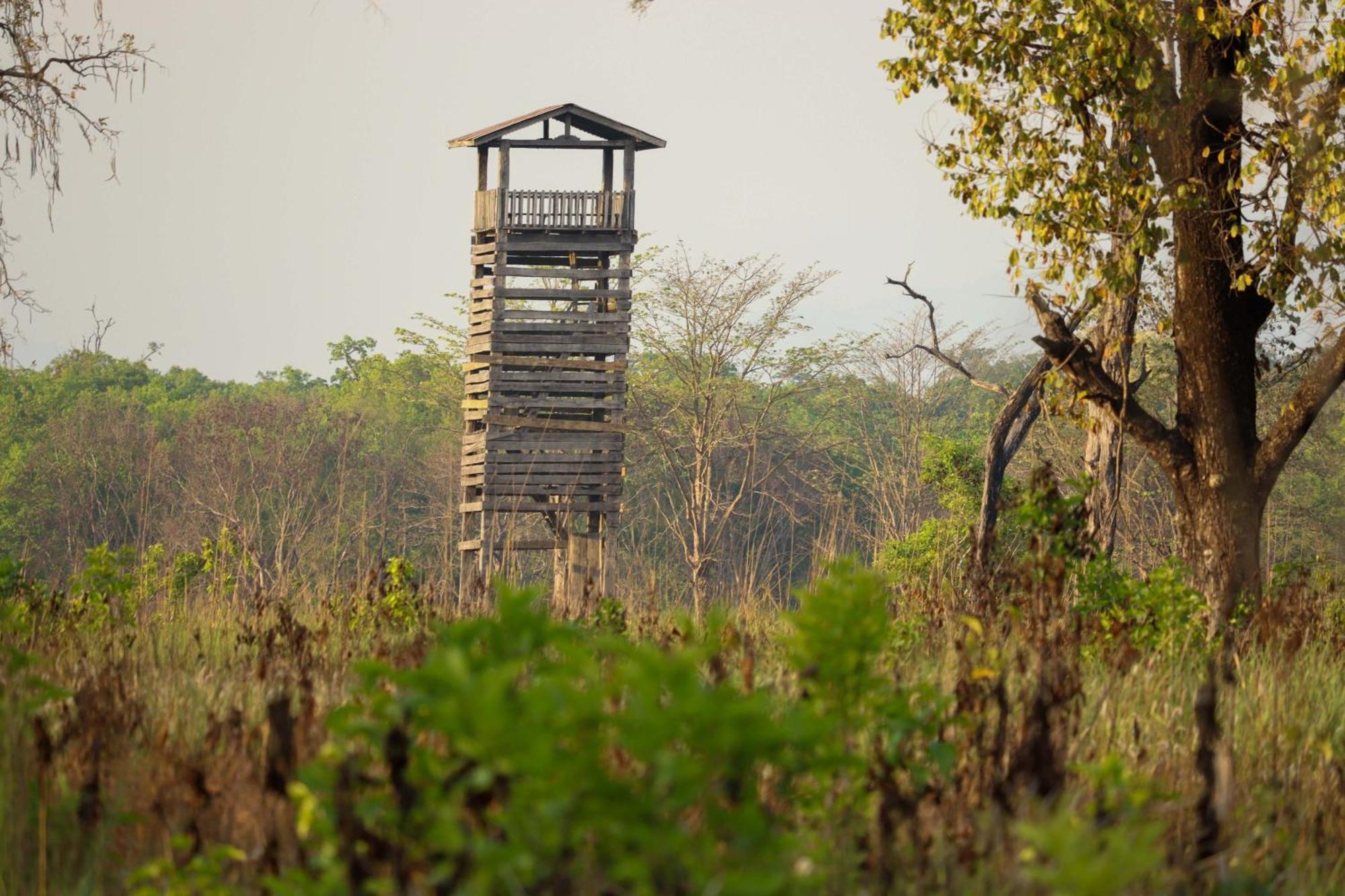 Forest Hideaway Resort Pvt Ltd Bardiya Luaran gambar