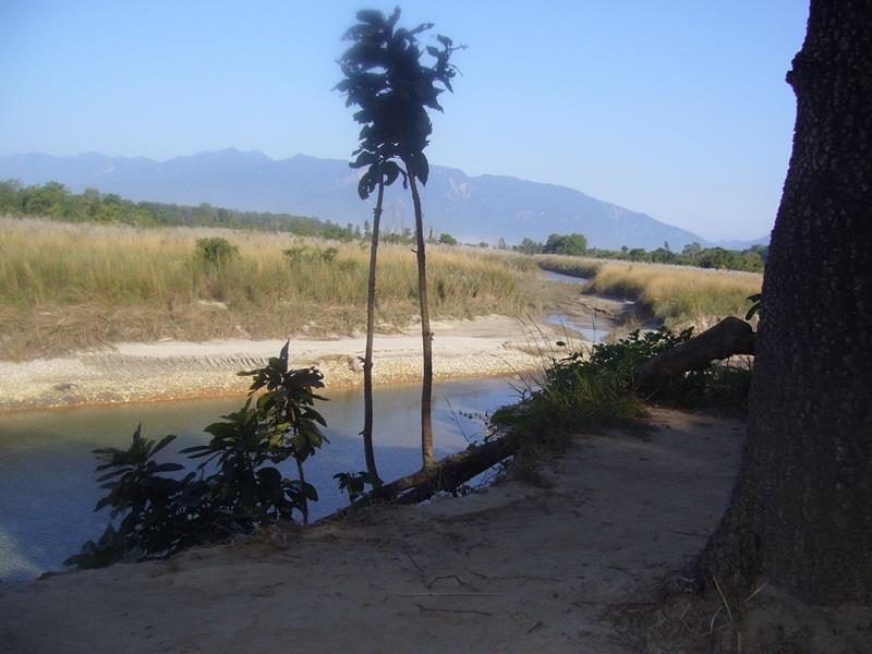 Forest Hideaway Resort Pvt Ltd Bardiya Luaran gambar